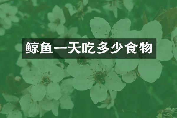 鲸鱼一天吃多少食物