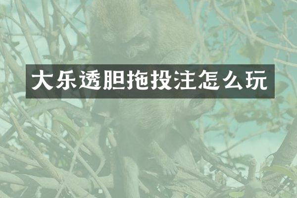 大乐透胆拖投注怎么玩