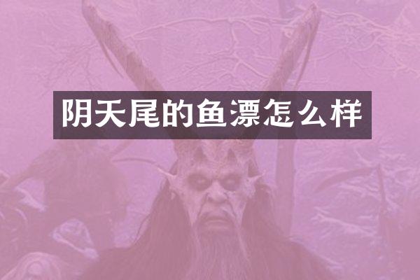 阴天尾的鱼漂怎么样