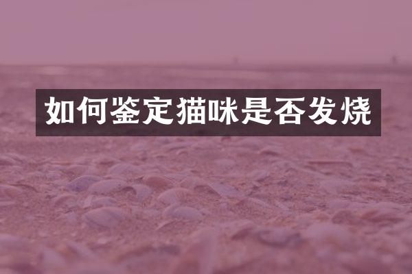 如何鉴定猫咪是否发烧