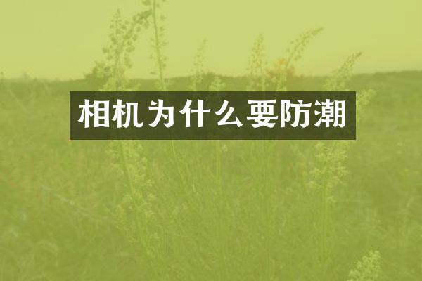 相机为什么要防潮
