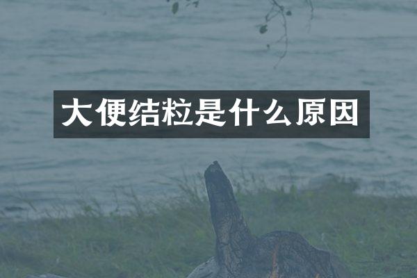 大便结粒是什么原因