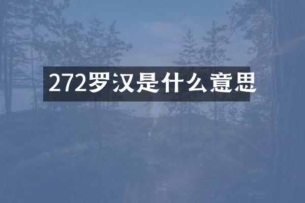 272罗汉是什么意思