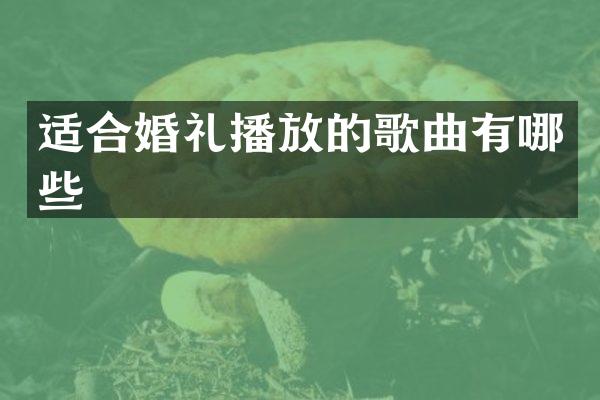 适合婚礼播放的歌曲有哪些