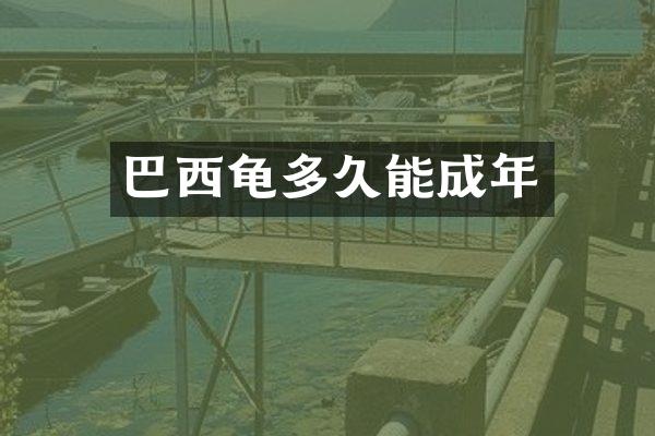 巴西龟多久能成年