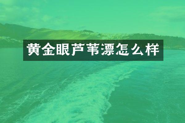 黄金眼芦苇漂怎么样