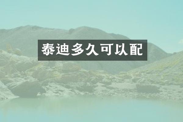 泰迪多久可以配