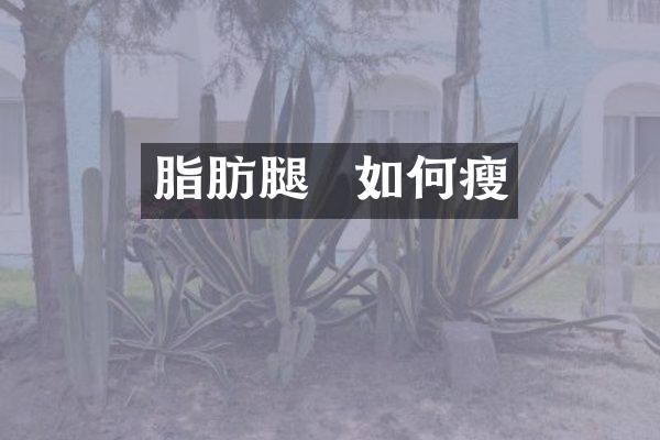 脂肪腿  如何瘦