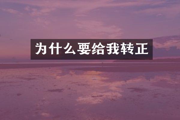 为什么要给我转正