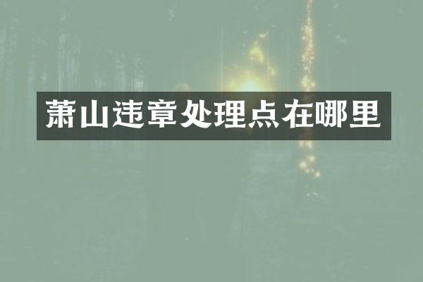 萧山违章处理点在哪里