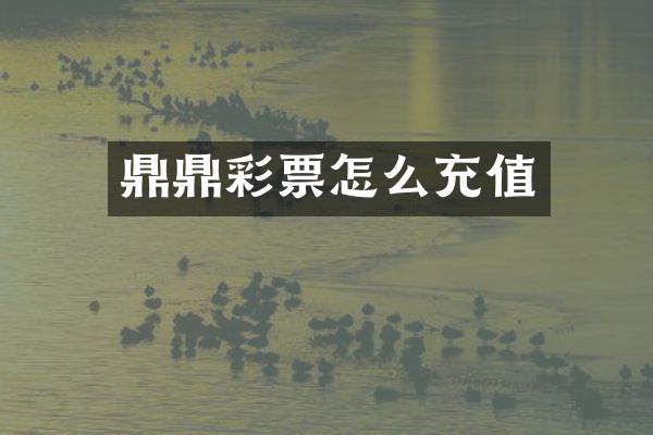 鼎鼎彩票怎么充值