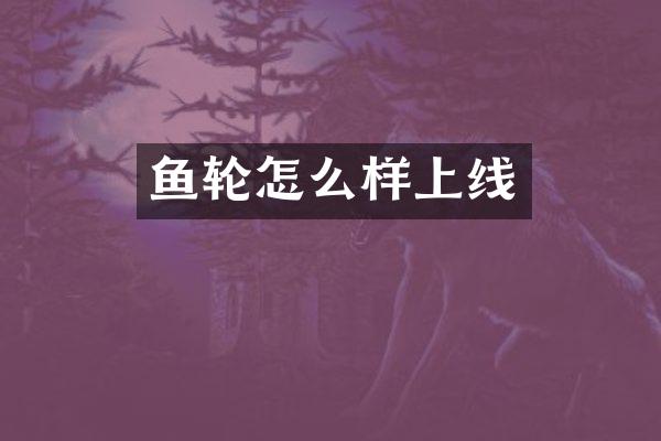 鱼轮怎么样上线