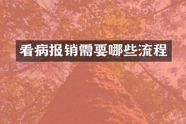看病报销需要哪些流程