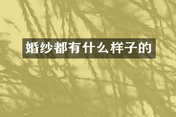 婚纱都有什么样子的