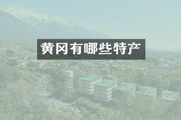 黄冈有哪些特产