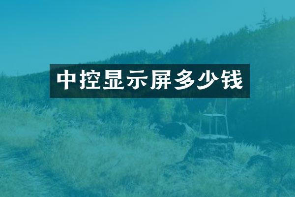 中控显示屏多少钱