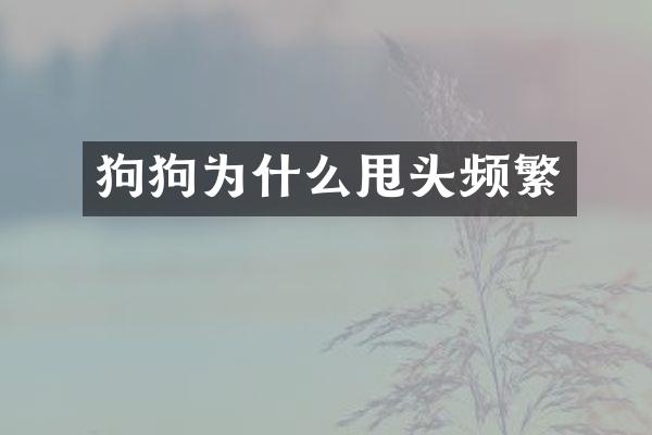 狗狗为什么甩头频繁