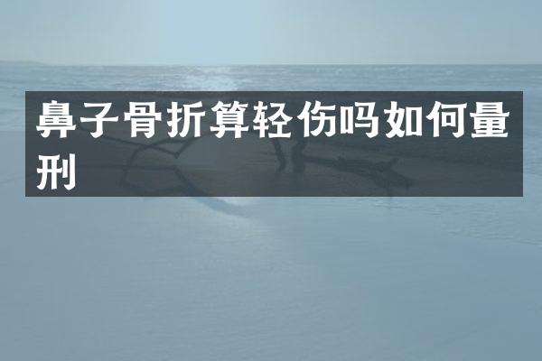 鼻子骨折算轻伤吗如何量刑