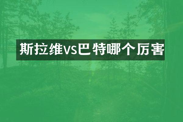 斯拉维vs巴特哪个厉害