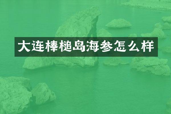 大连棒槌岛海参怎么样
