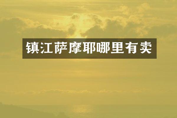 镇江萨摩耶哪里有卖