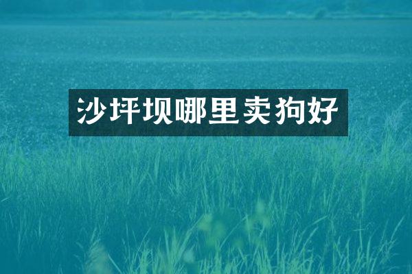 沙坪坝哪里卖狗好