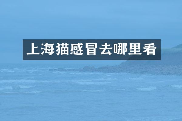 上海猫感冒去哪里看