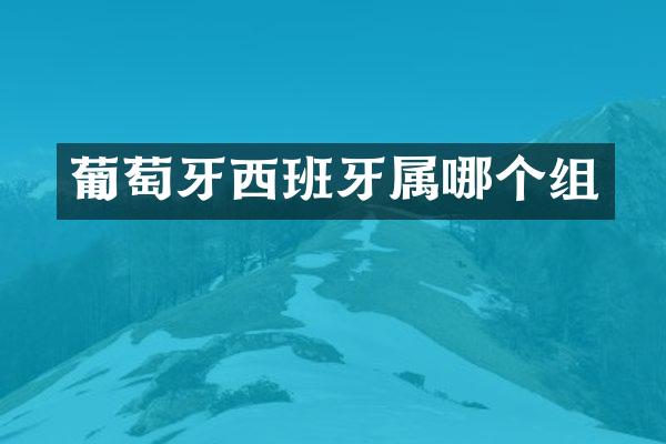 葡萄牙西班牙属哪个组