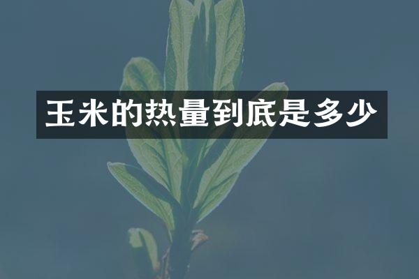 玉米的热量到底是多少