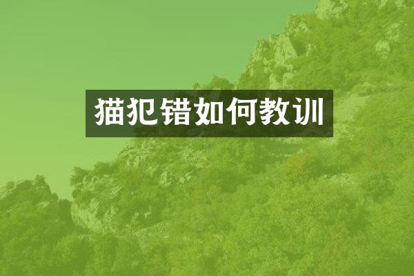 猫犯错如何教训