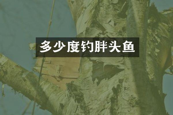 多少度钓胖头鱼