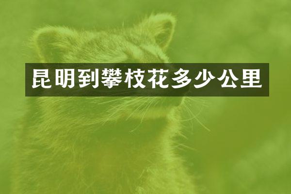 昆明到攀枝花多少公里