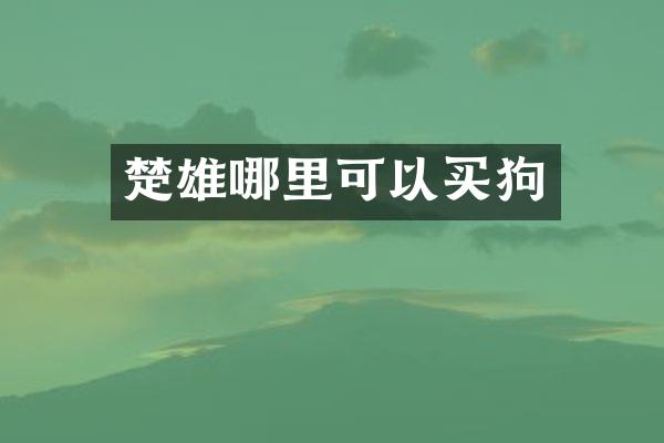 楚雄哪里可以买狗