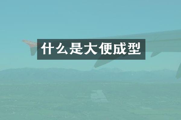 什么是大便成型