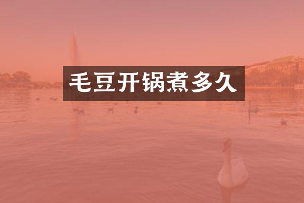 毛豆开锅煮多久