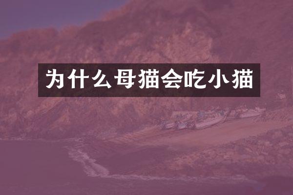 为什么母猫会吃小猫