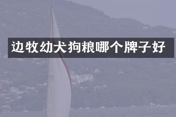 边牧幼犬狗粮哪个牌子好