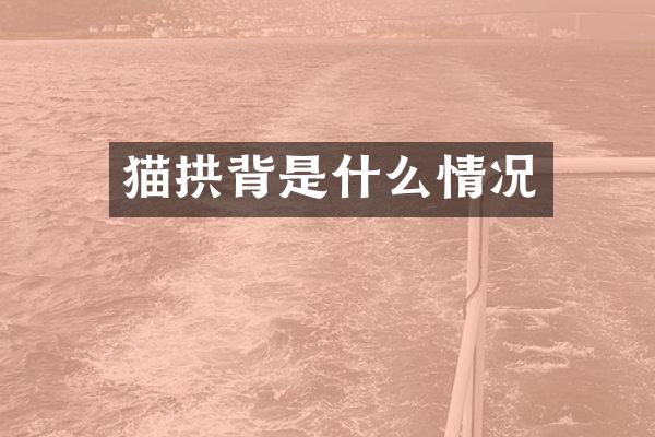 猫拱背是什么情况