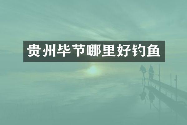贵州毕节哪里好钓鱼