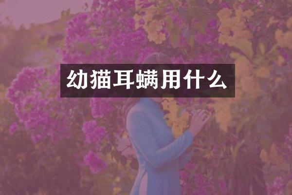 幼猫耳螨用什么