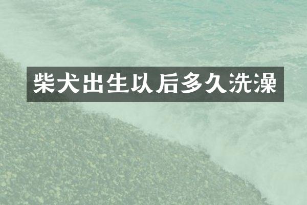 柴犬出生以后多久洗澡