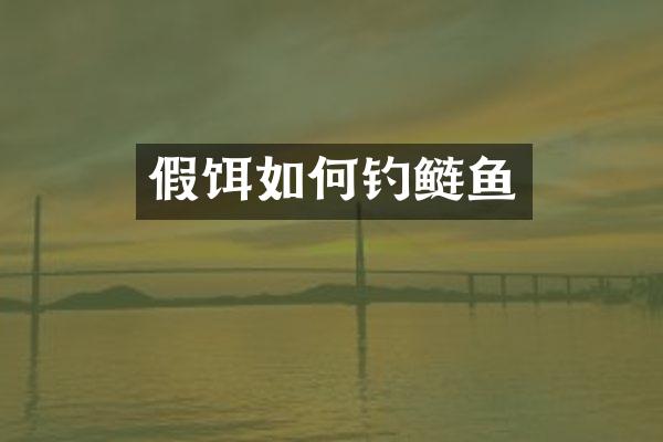 假饵如何钓鲢鱼