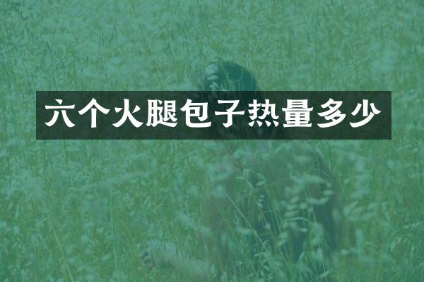 六个火腿包子热量多少