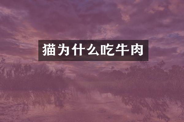 猫为什么吃牛肉
