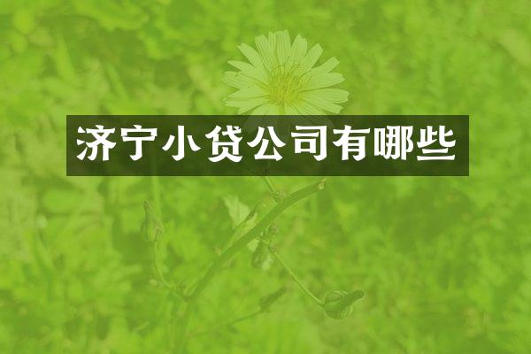 济宁小贷公司有哪些