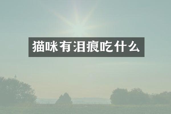 猫咪有泪痕吃什么