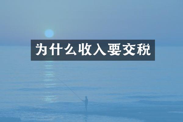 为什么收入要交税
