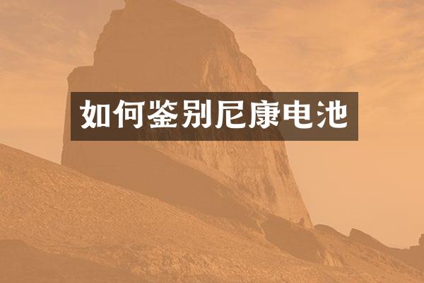 如何鉴别尼康电池