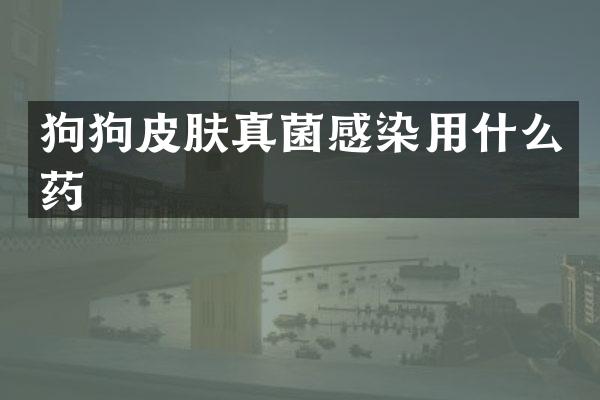 狗狗皮肤真菌感染用什么药