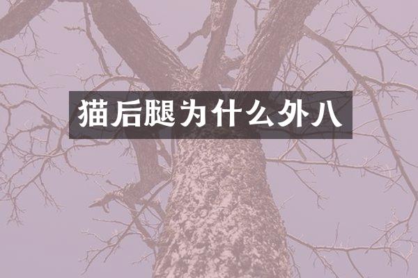 猫后腿为什么外八